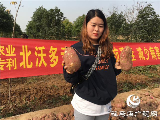 攜手北沃 見證豐收 ——北沃高鈣肥再顯神威，表現(xiàn)驚艷眾人！