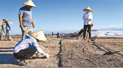 遺址格局逐步清晰，歷史文化內(nèi)涵日益豐富  北庭故城考古發(fā)現(xiàn)不斷深入