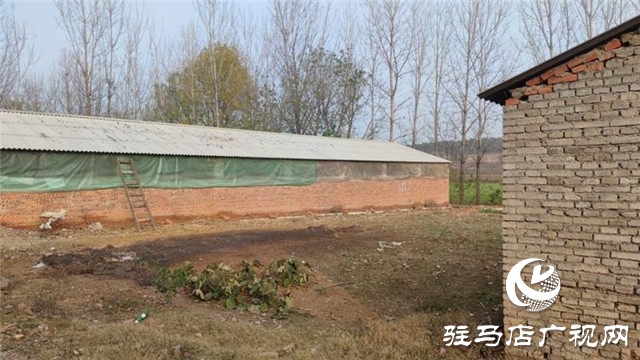 重獲“新生”，泌陽(yáng)縣下碑寺鄉(xiāng)曹莊村貧困戶養(yǎng)豬走出致富路