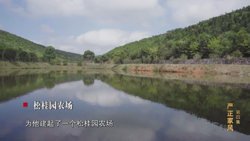電視專題片《正風反腐就在身邊》第四集：《嚴正家風》