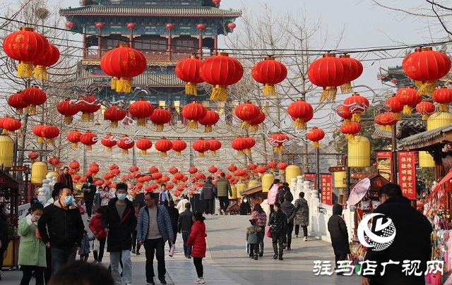 駐馬店：張燈結彩年味濃 年貨市場迎春忙