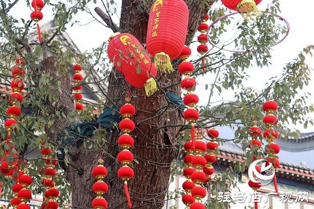 駐馬店：張燈結彩年味濃 年貨市場迎春忙