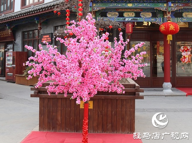 駐馬店：張燈結彩年味濃 年貨市場迎春忙
