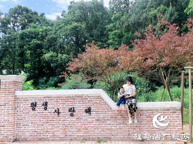 碧桂園豫南區(qū)域人物風(fēng)采——巾幗不讓須眉 從地產(chǎn)小白到項(xiàng)目銷(xiāo)冠