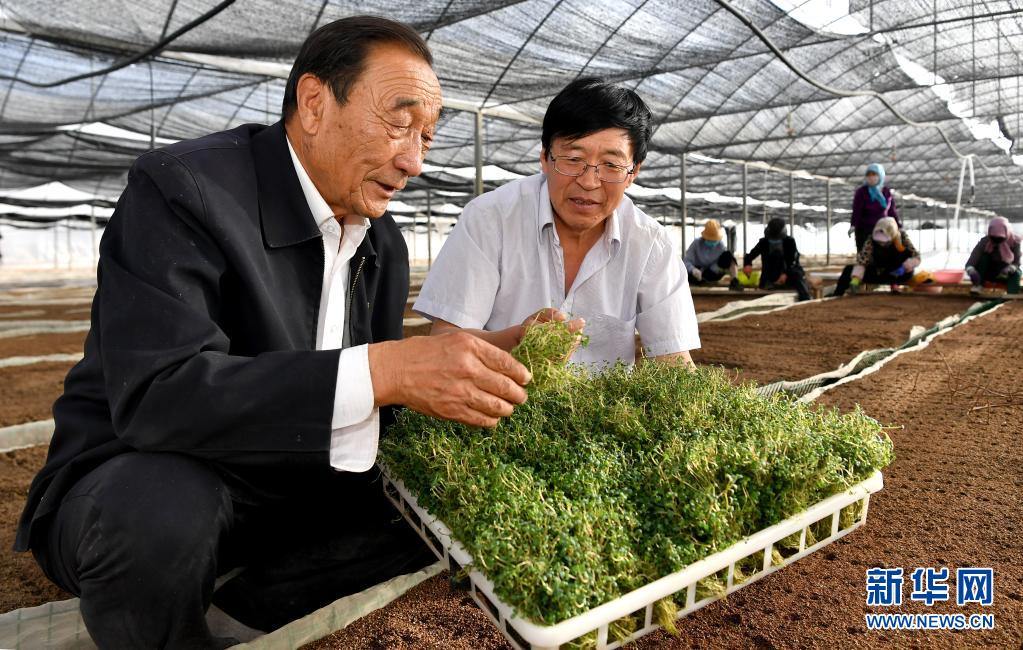 奮斗百年路 啟航新征程·“七一勛章”獲得者｜治沙英雄石光銀：干成治沙一件事，就算沒白活