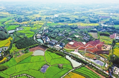 你好，小康丨光山縣東岳村：田園多彩 電商下鄉(xiāng)