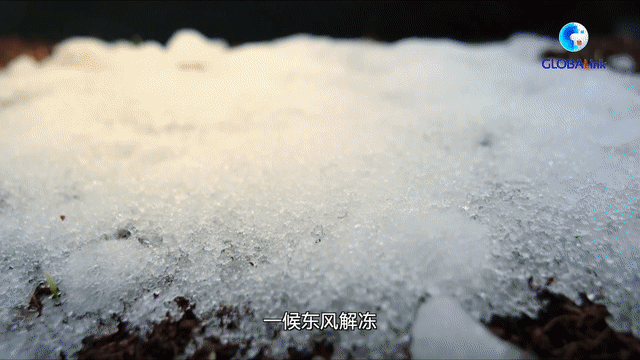 全球連線丨二十四節(jié)氣由何而來？中國最古老天文遺跡告訴你