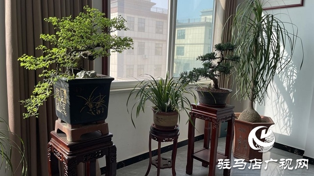 當(dāng)日預(yù)訂三萬(wàn)畝地！六豐農(nóng)業(yè)百農(nóng)607觀摩訂貨會(huì)火爆收官
