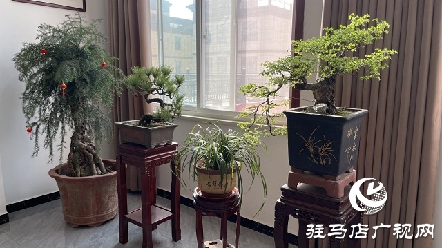 當(dāng)日預(yù)訂三萬(wàn)畝地！六豐農(nóng)業(yè)百農(nóng)607觀摩訂貨會(huì)火爆收官