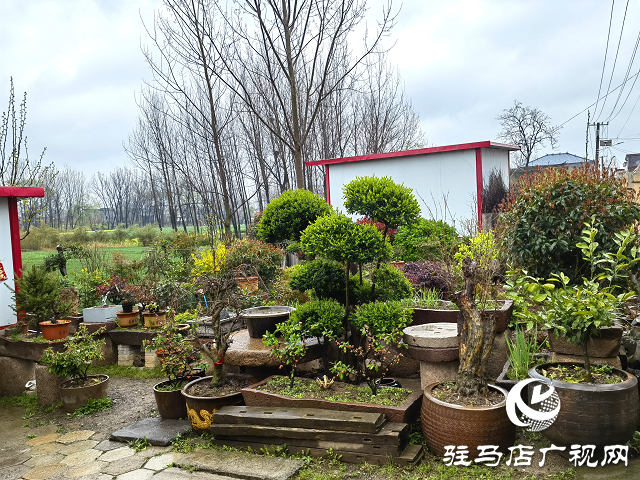 上蔡縣大路李鄉(xiāng)：強(qiáng)“本手”、創(chuàng)“妙手”、減“俗手”助力人居環(huán)境大嬗變