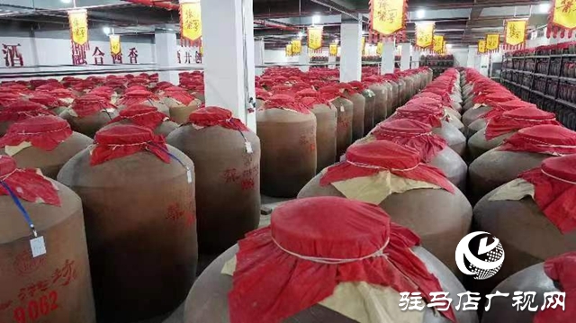 新蔡縣：走過非凡十年 綜合實(shí)力和發(fā)展質(zhì)量邁上新臺階