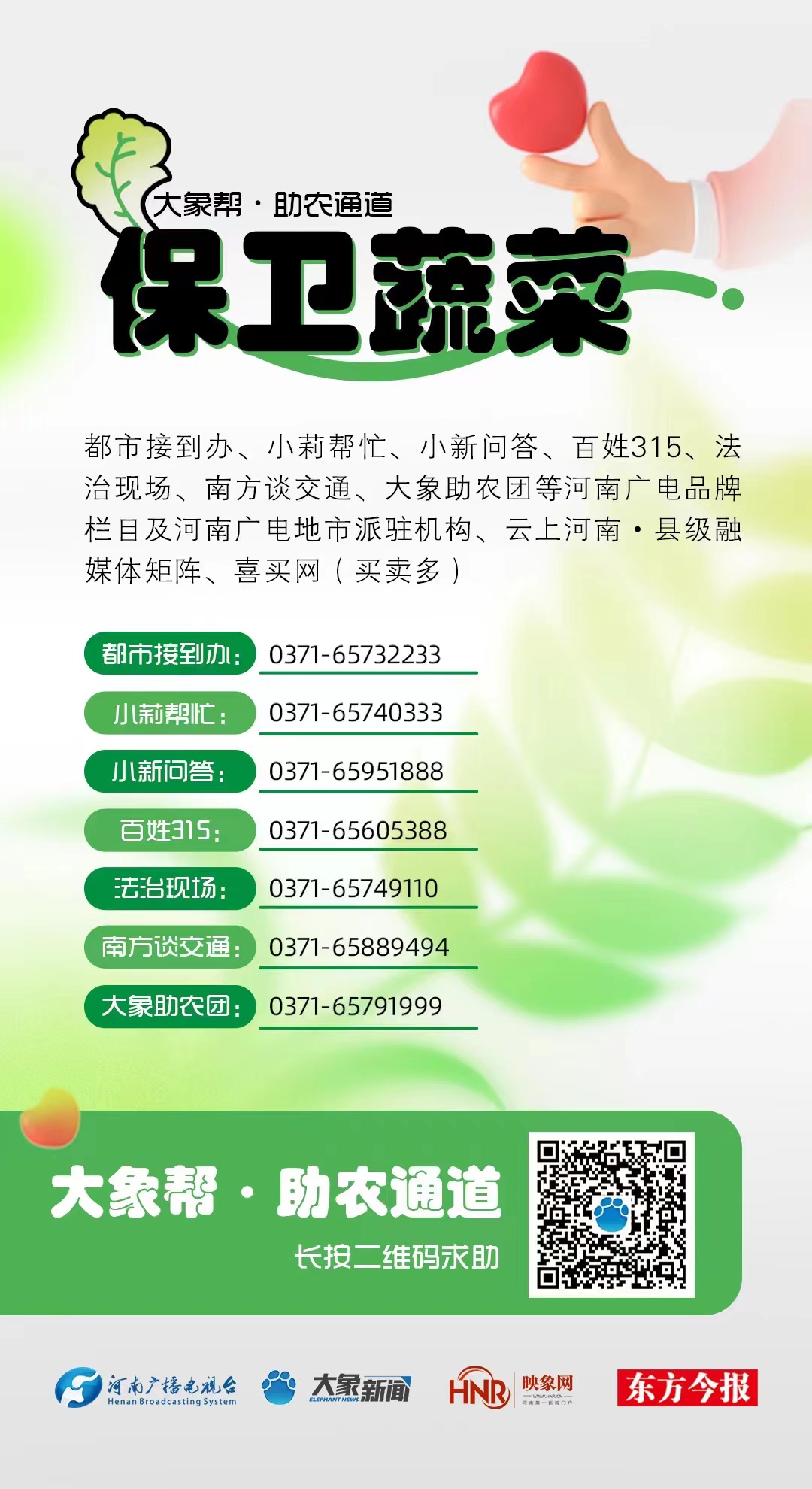 關(guān)愛·溫暖 | 大象幫·助農(nóng)直播效應(yīng)明顯，平頂山“張良蔬菜”外銷日增30余噸