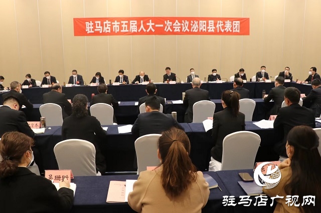 兩會時間｜駐馬店市人大代表分團審議 政府工作報告審查計劃報告、 預算報告和草案