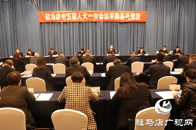 兩會時間｜駐馬店市人大代表分團審議 政府工作報告審查計劃報告、 預算報告和草案