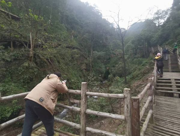 峨眉山猴子被拘留？假的！峨眉山猴子是國家二級保護(hù)動物