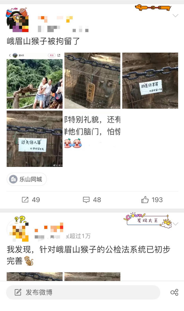 峨眉山猴子被拘留？假的！峨眉山猴子是國家二級保護(hù)動物