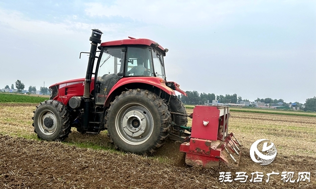 泌陽縣郭集鎮(zhèn)：推廣大豆玉米帶狀復合種植 實現(xiàn)“一地雙收”