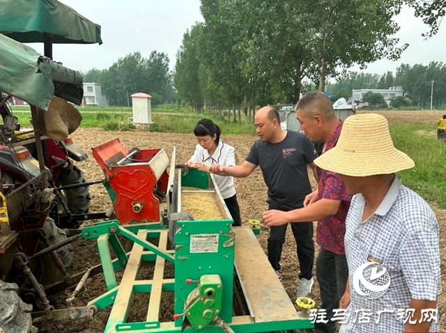 泌陽縣郭集鎮(zhèn)：推廣大豆玉米帶狀復合種植 實現(xiàn)“一地雙收”