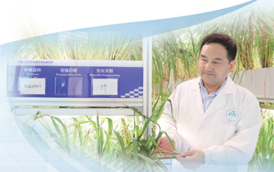 讓植物在工廠里拔節(jié)生長(zhǎng)（講述·弘揚(yáng)科學(xué)家精神）