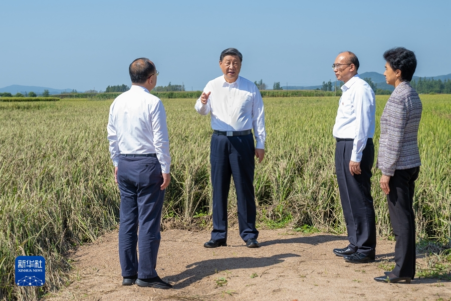 習(xí)近平在黑龍江考察時(shí)強(qiáng)調(diào) 牢牢把握在國(guó)家發(fā)展大局中的戰(zhàn)略定位 奮力開創(chuàng)黑龍江高質(zhì)量發(fā)展新局面