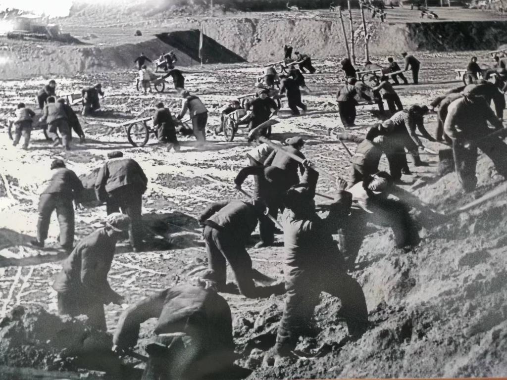 新時(shí)代新征程新偉業(yè)·習(xí)近平總書記關(guān)切事丨黃河之水天上來，奔流到此“青”幾許——黃河“幾字彎”生態(tài)治理一線故事