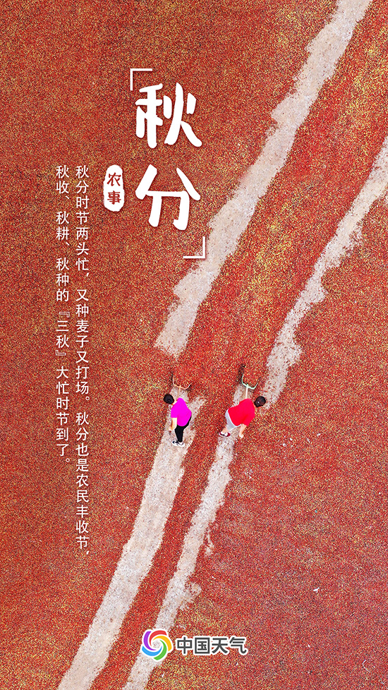 秋分至！又是一年好“豐”景 全國(guó)秋收地圖看哪里五谷豐登