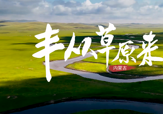 “豐”從草原來(lái)|現(xiàn)代化大農(nóng)業(yè)讓中國(guó)碗盛更多“河套糧”