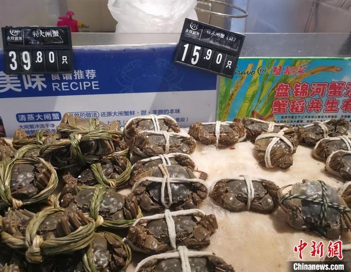 你吃大閘蟹了嗎？降價了，便宜的一只不到10元