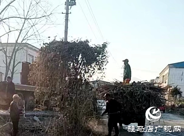 泌陽縣象河鄉(xiāng)：整治人居環(huán)境，助力鄉(xiāng)村振興