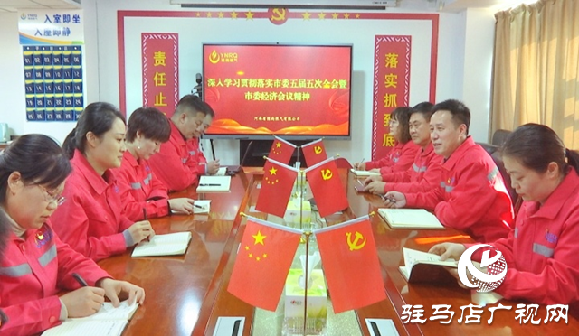 構建現代清潔能源體系  建設綠水青山文明城市