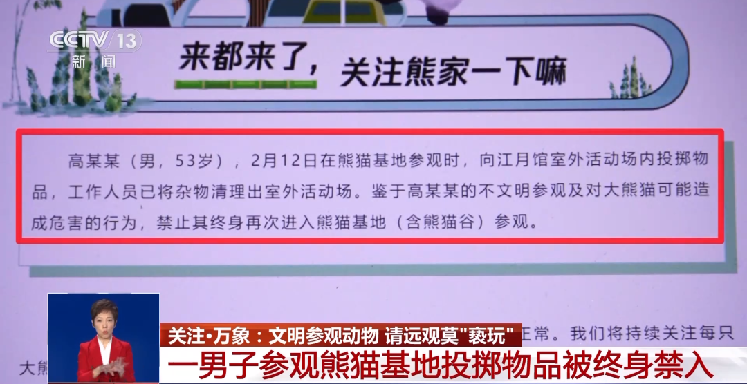 又有游客被終身禁入，為什么不能隨意投喂大熊貓？