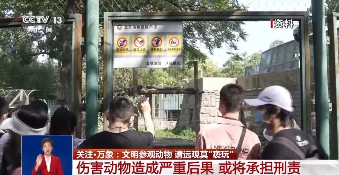 又有游客被終身禁入，為什么不能隨意投喂大熊貓？