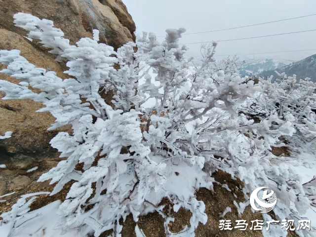 美呆了！羅漢山開啟雪凇、霧凇雙景齊現(xiàn)模式