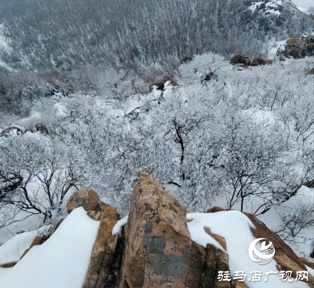 美呆了！羅漢山開啟雪凇、霧凇雙景齊現(xiàn)模式