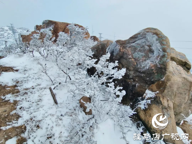 美呆了！羅漢山開啟雪凇、霧凇雙景齊現(xiàn)模式
