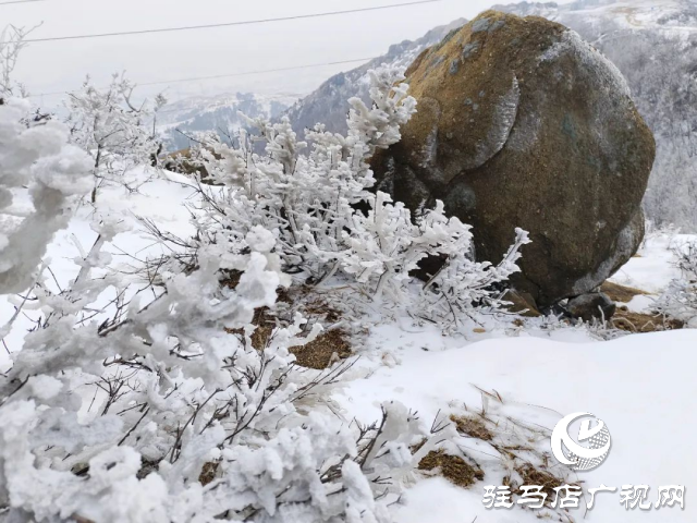 美呆了！羅漢山開啟雪凇、霧凇雙景齊現(xiàn)模式