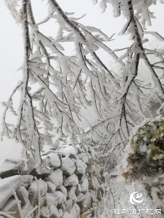 美呆了！羅漢山開啟雪凇、霧凇雙景齊現(xiàn)模式