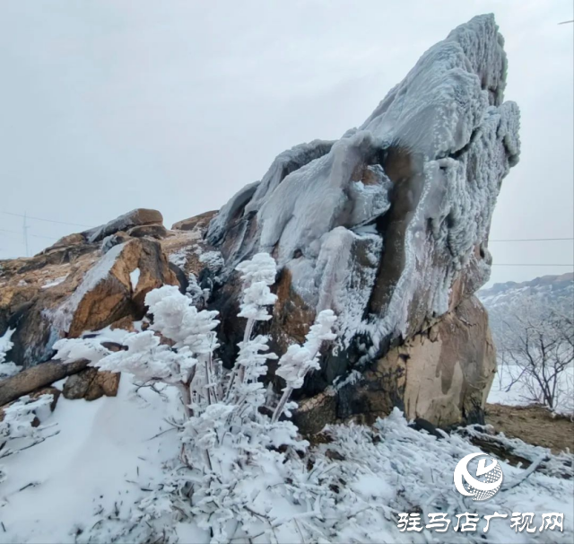 美呆了！羅漢山開啟雪凇、霧凇雙景齊現(xiàn)模式