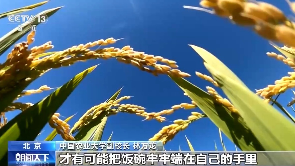 “大農(nóng)業(yè)觀”第一次寫(xiě)入政府工作報(bào)告！今年“三農(nóng)”工作重點(diǎn)有這些