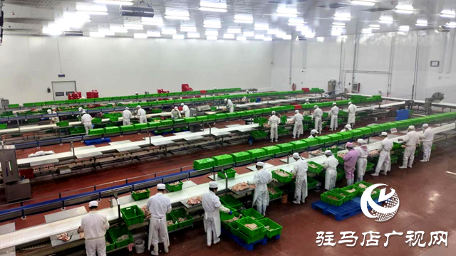 上蔡縣：打造“六最”營商環(huán)境  讓企業(yè)在高質量發(fā)展的藍圖上昂首奮進