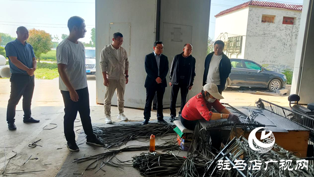 平輿縣十字路鄉(xiāng)：聚力企業(yè)解難題，助力“三園建設(shè)”
