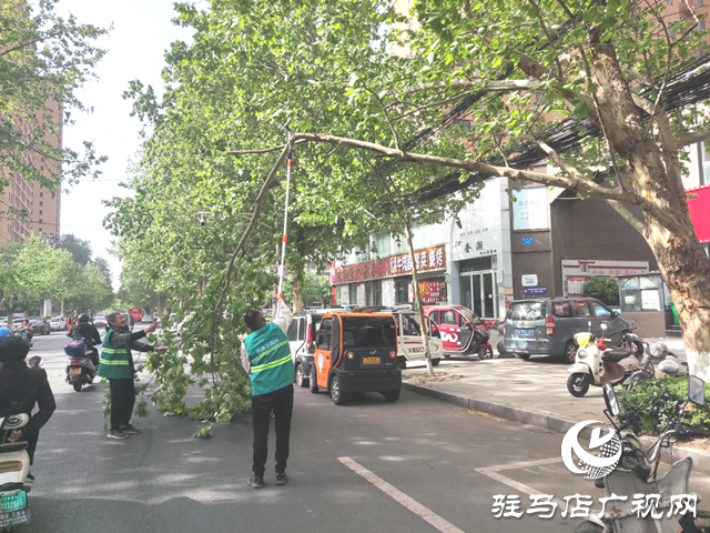 駐馬店經(jīng)濟(jì)開發(fā)區(qū)：及時處置樹木斷枝 構(gòu)造綠色安全防線
