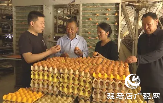 上蔡縣東岸鄉(xiāng)：做強‘中藥雞蛋’產業(yè)鏈 為推動鄉(xiāng)村振興注入新活力