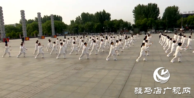 2024年全國老年人太極拳健身推廣展示大聯(lián)動(dòng)(上蔡站)活動(dòng)舉行