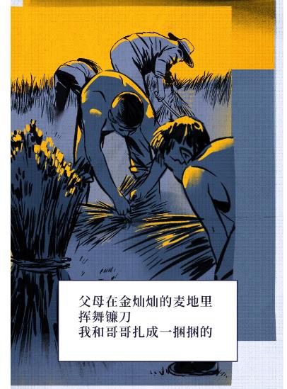 手繪條漫丨滿倉
