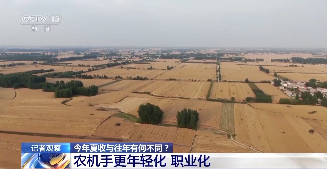 秸稈經(jīng)紀(jì)人、智能化新農(nóng)機(jī)……今年夏收有何不同？