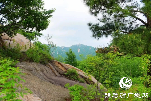 探尋河南泌陽(yáng)，感受文明縣城里的美麗家鄉(xiāng)風(fēng)情