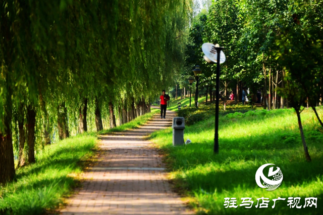 探尋河南泌陽(yáng)，感受文明縣城里的美麗家鄉(xiāng)風(fēng)情