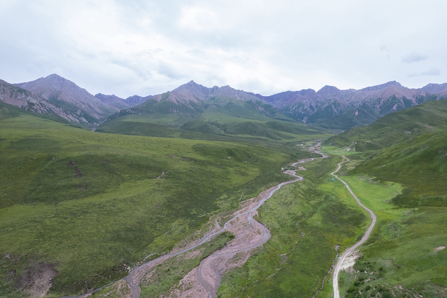 學(xué)習(xí)進行時丨“綠水青山就是金山銀山”——習(xí)近平推動生態(tài)環(huán)境保護的故事