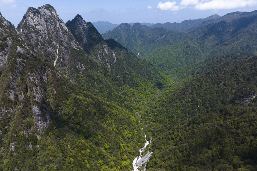 學(xué)習(xí)進行時丨“綠水青山就是金山銀山”——習(xí)近平推動生態(tài)環(huán)境保護的故事